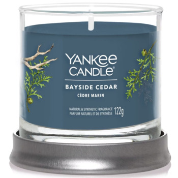 Bayside Cedar Signature Tumbler Candle (pobrežný céder) - Vonná sviečka
